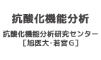 抗酸化機能分析　抗酸化機能分析研究センター［旭医大・若宮G］