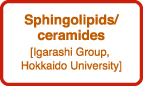Sphingolipids/ceramides