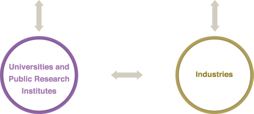 Project Implementation System