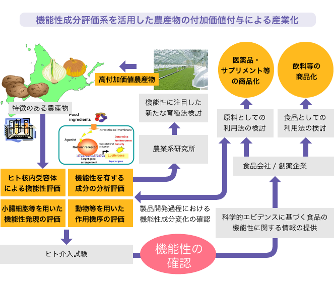 機能性成分評価系を活用した農産物の付加価値付与による産業化